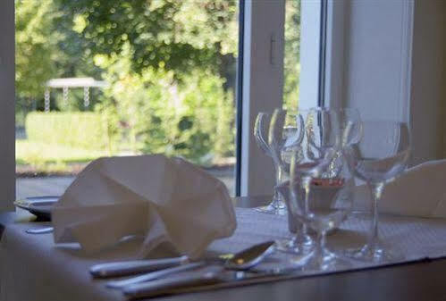 Sante Royale Hotel- & Gesundheitsresort Bad Brambach Εξωτερικό φωτογραφία